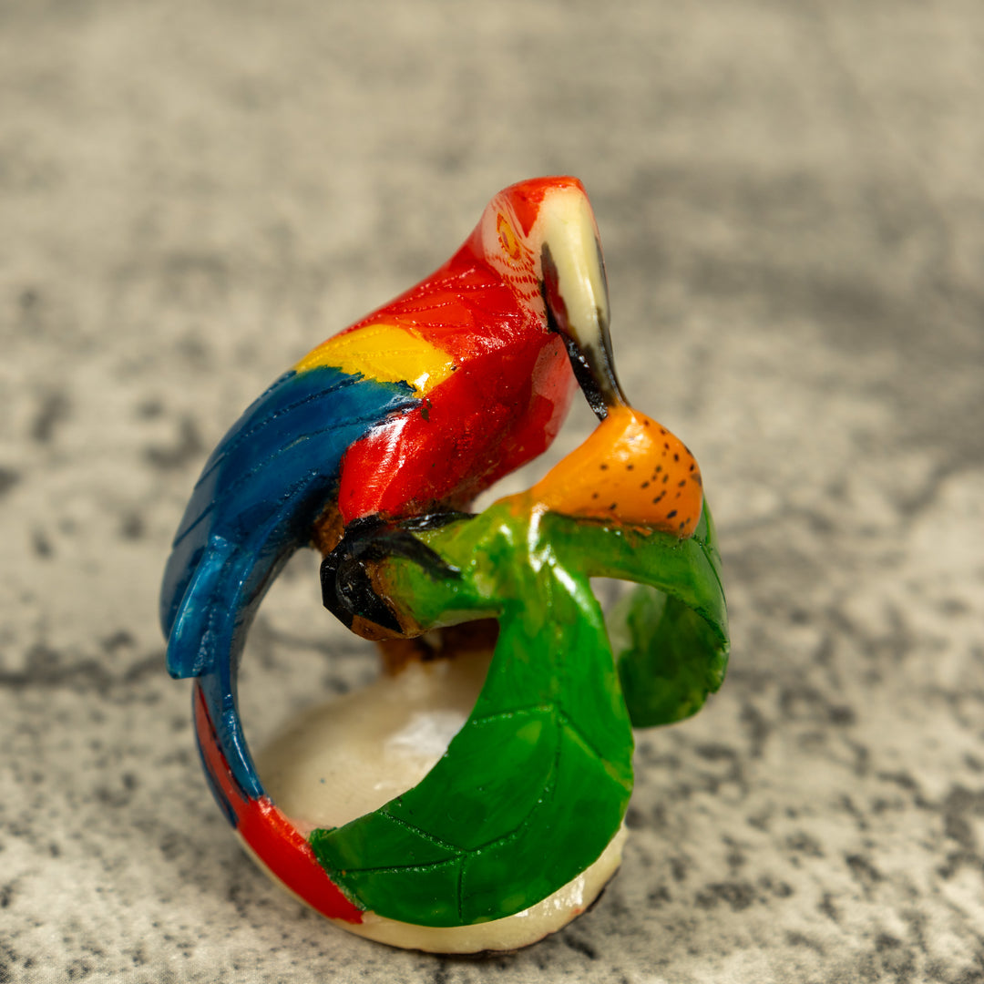 Macaw Parrot Bird Tagua Carving