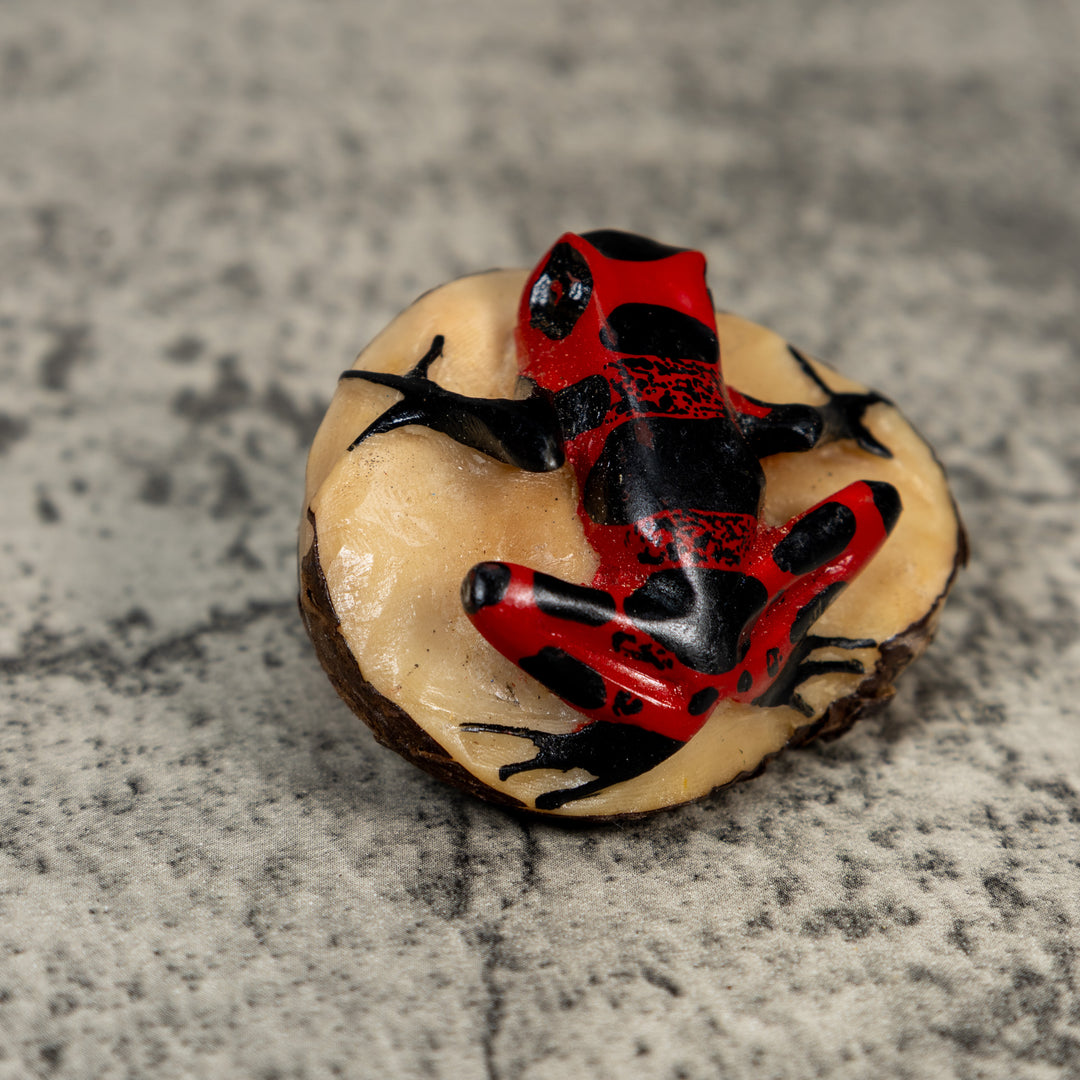 Red And Black Poison Dart Frog Tagua Carving
