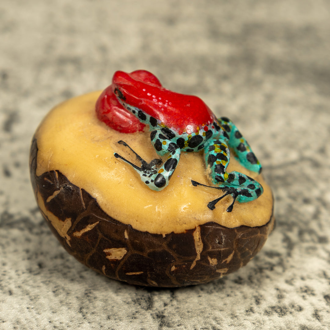 Multicolor Blow Throat Poison Dart Frog Tagua Carving