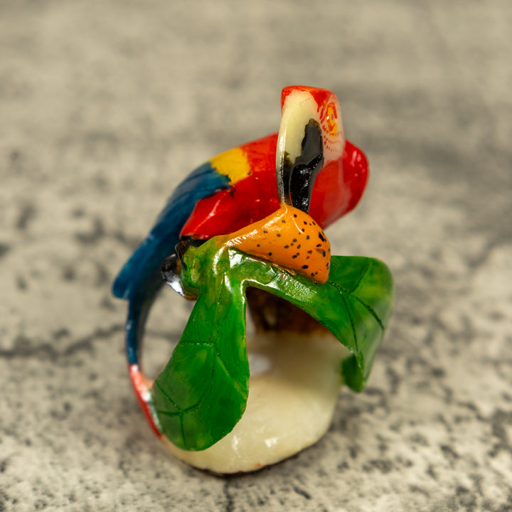 Macaw Parrot Bird Tagua Carving