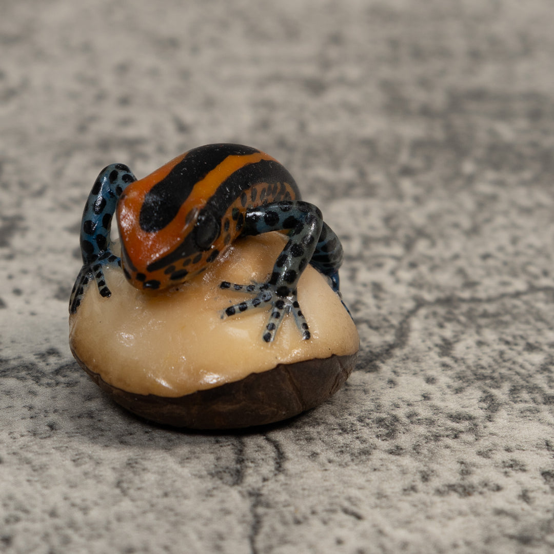 Gold And Black Poison Dart Frog Tagua Carving