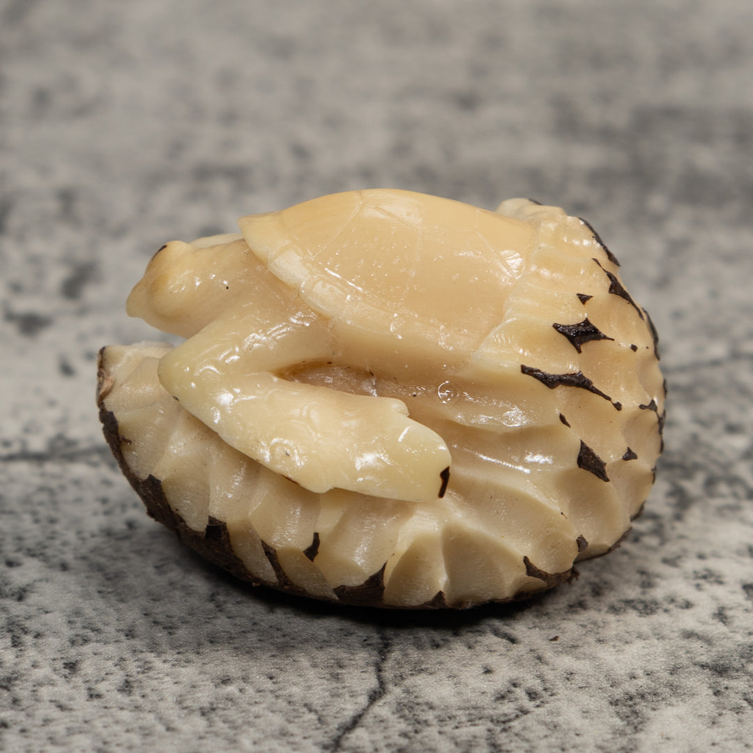 Vintage White Natural Sea Turtle Tagua Carving