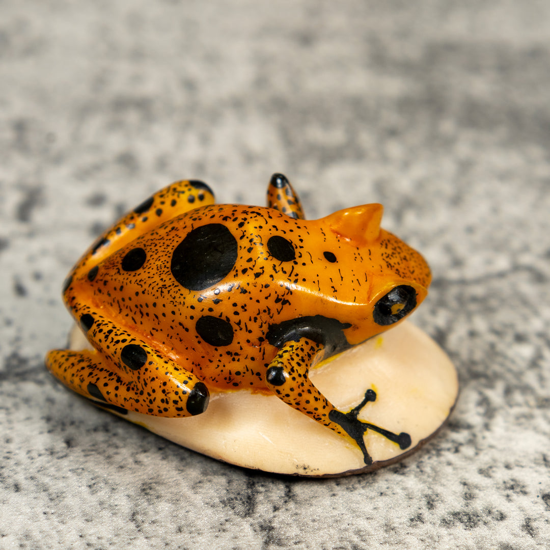 Gold And Black Poison Dart Frog Tagua Carving