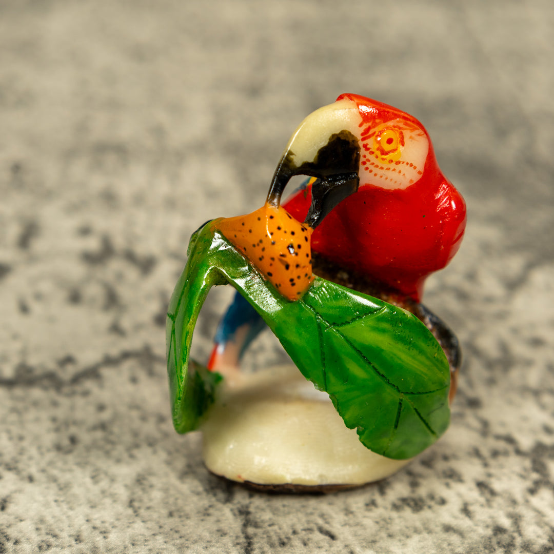 Macaw Parrot Bird Tagua Carving