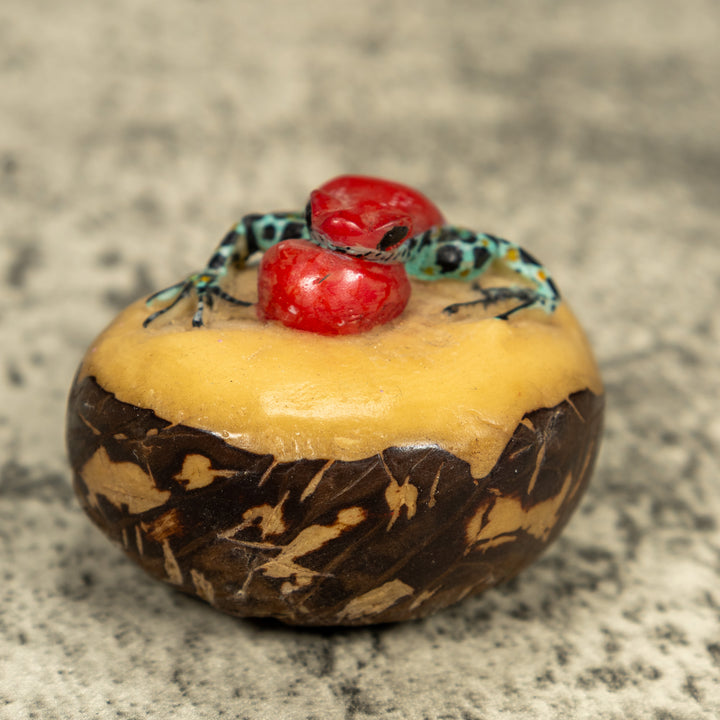 Multicolor Blow Throat Poison Dart Frog Tagua Carving