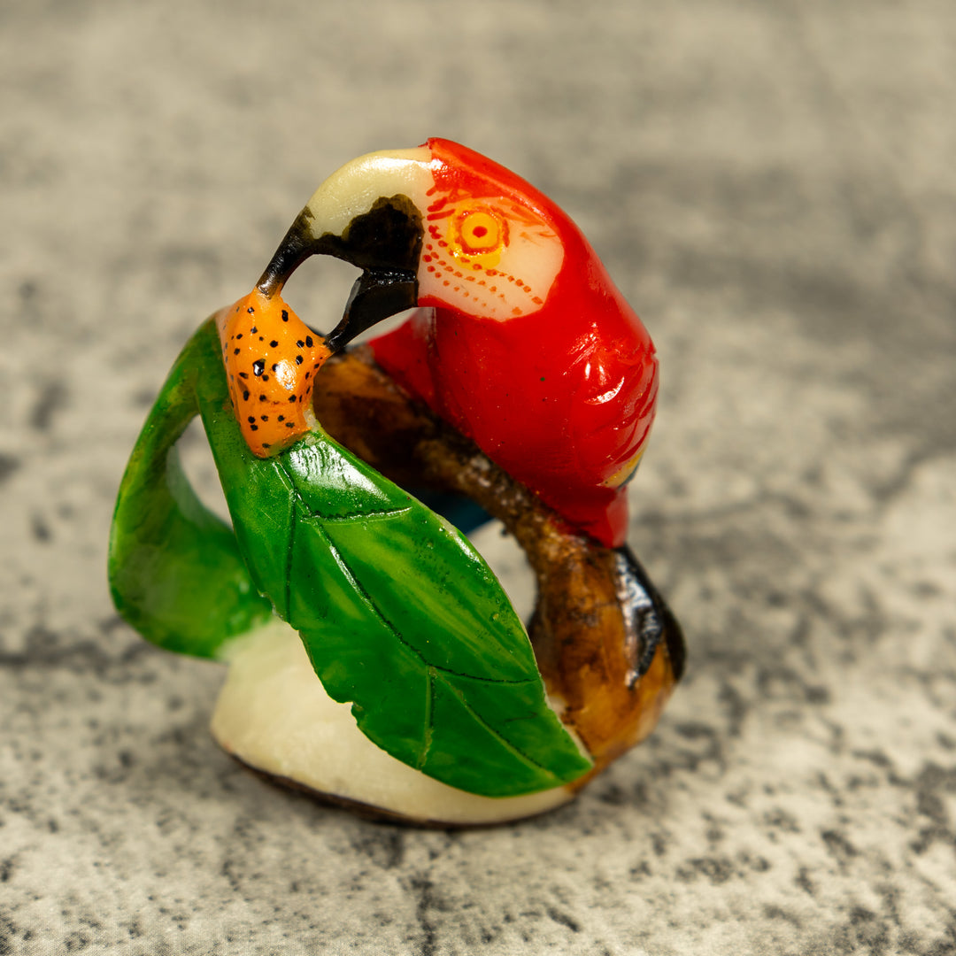 Macaw Parrot Bird Tagua Carving