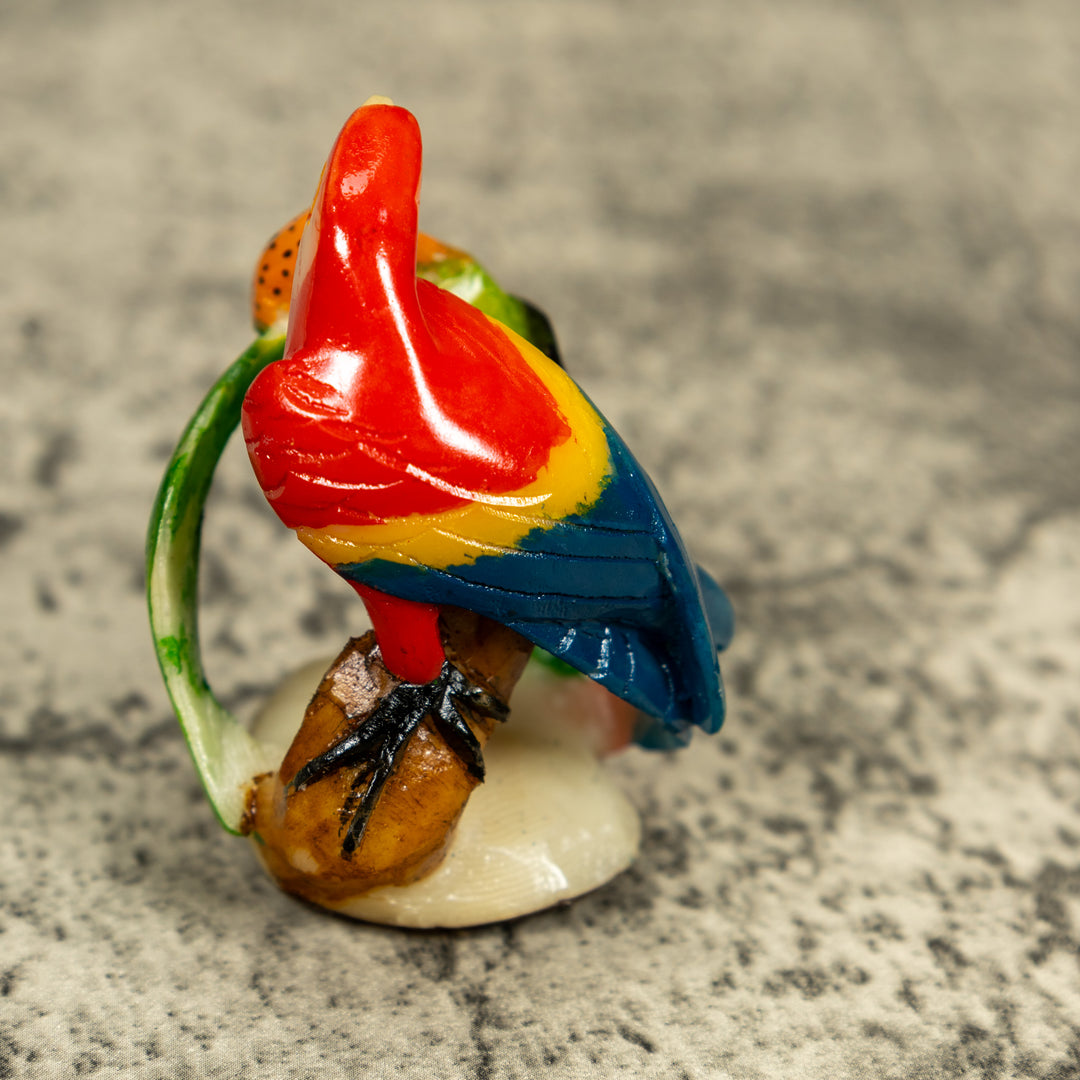 Macaw Parrot Bird Tagua Carving