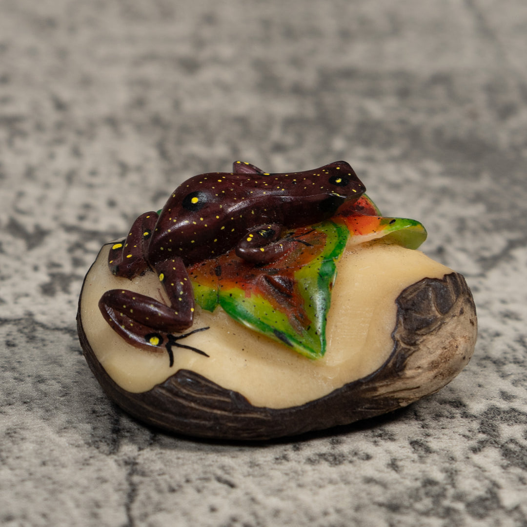 Brown And Yellow Poison Dart Frog Tagua Carving