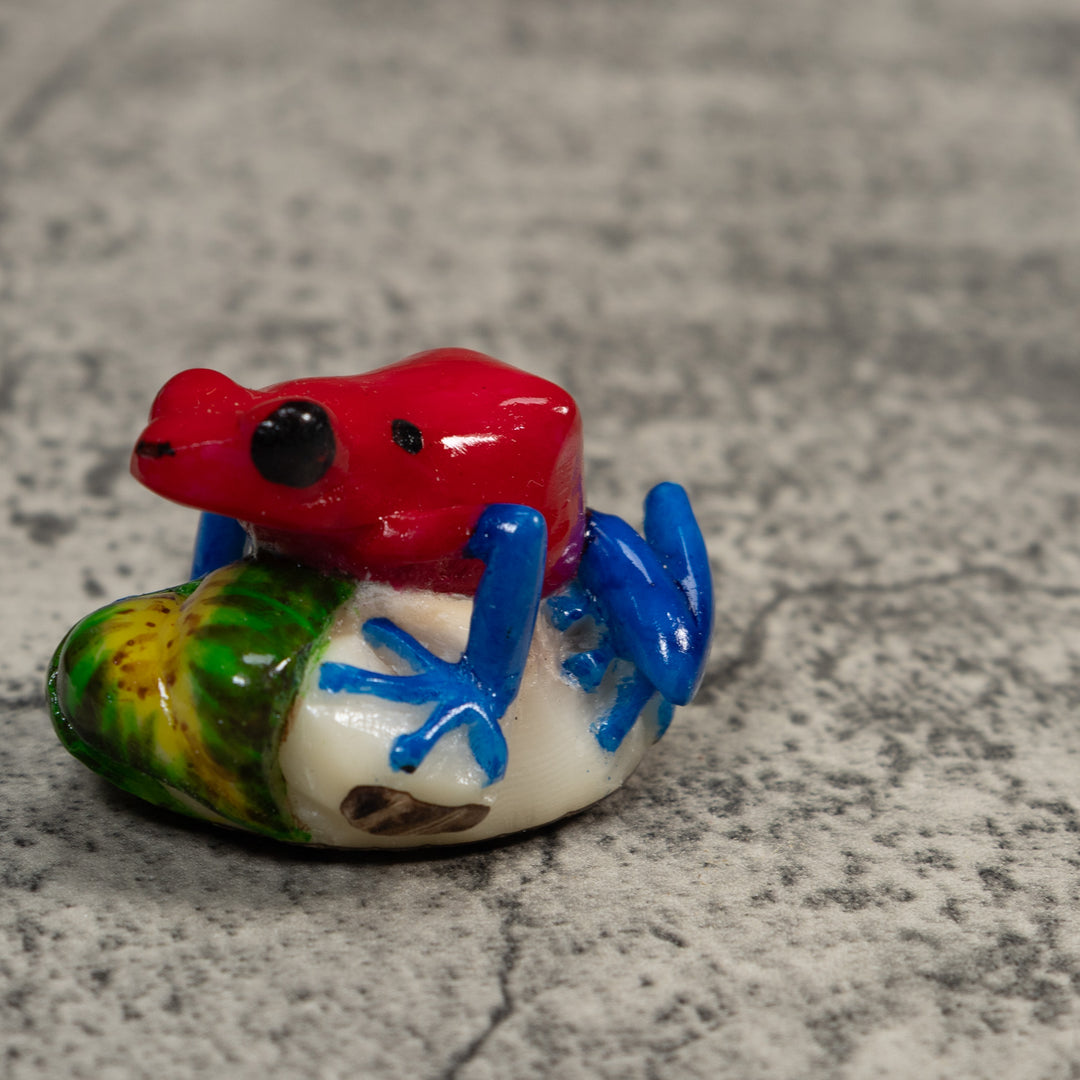 Red And Blue Poison Dart Frog Tagua Carving