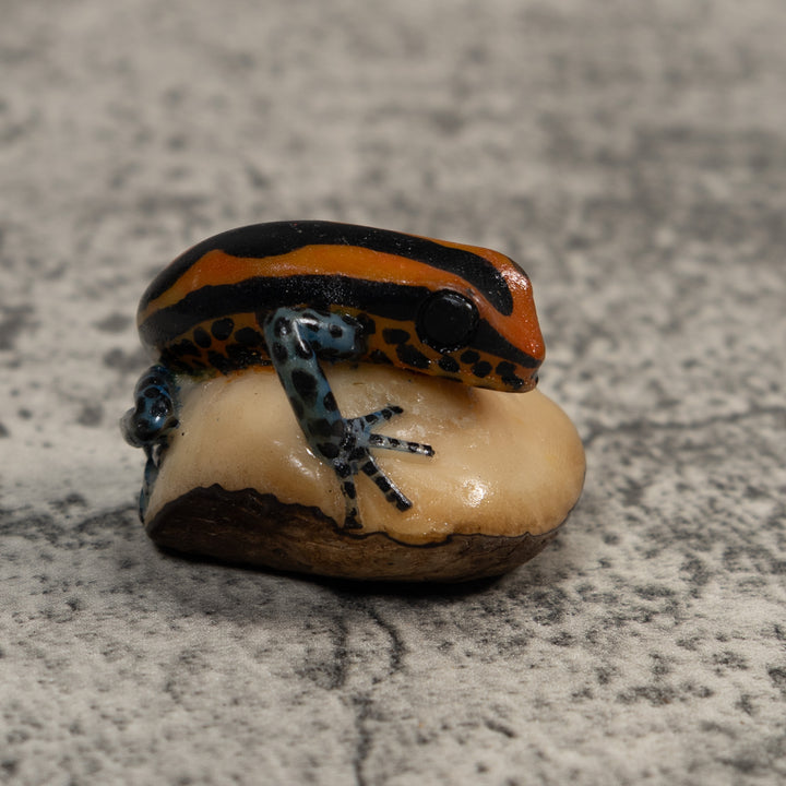 Gold And Black Poison Dart Frog Tagua Carving
