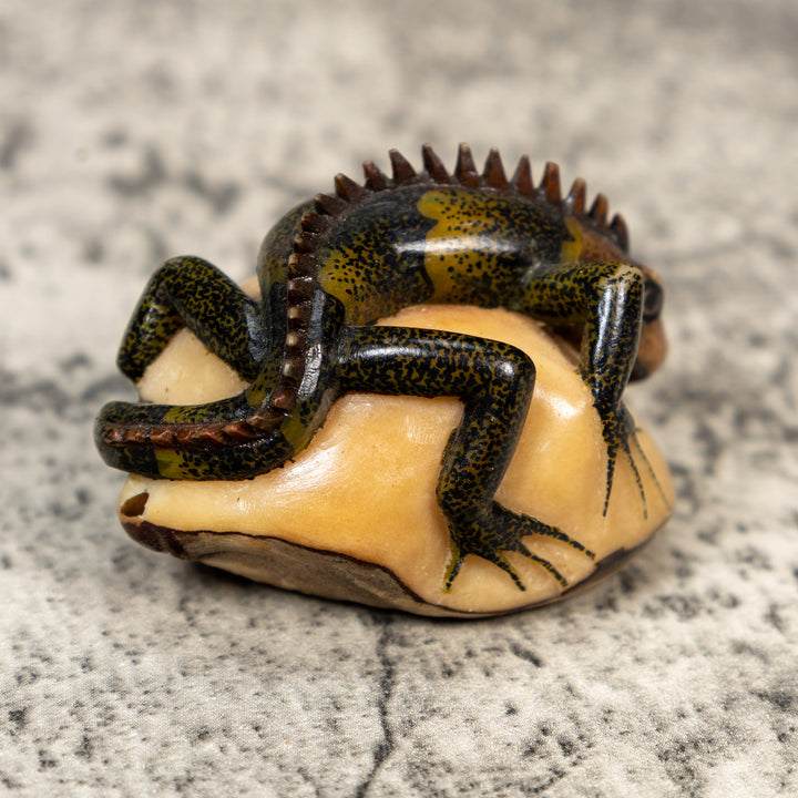 Brown Black And Green Iguana Lizard Tagua Carving