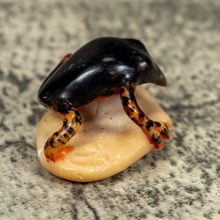 Vintage Gold And Black Frog Tagua Carving