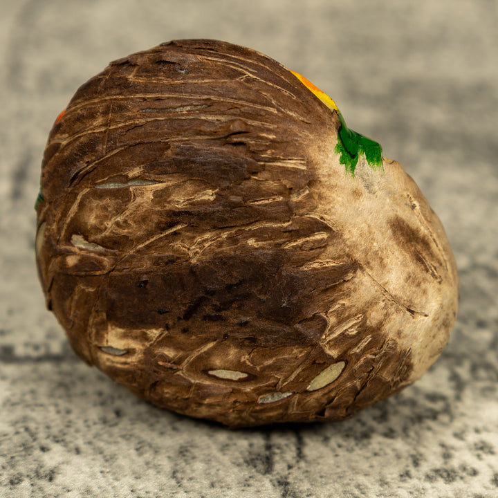 Hummingbird Tagua Carving