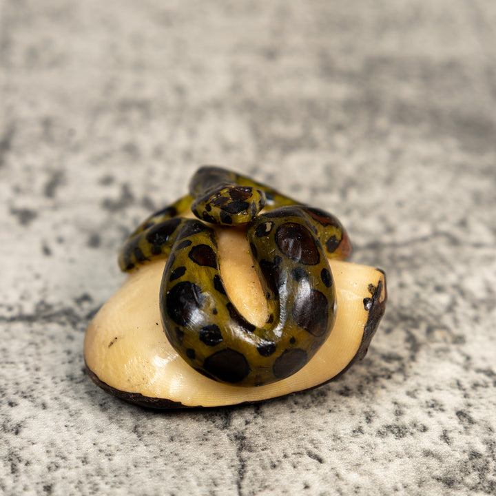Black And Gold Snake Tagua Carving
