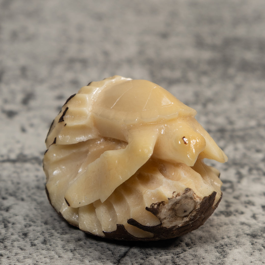 Vintage White Natural Sea Turtle Tagua Carving