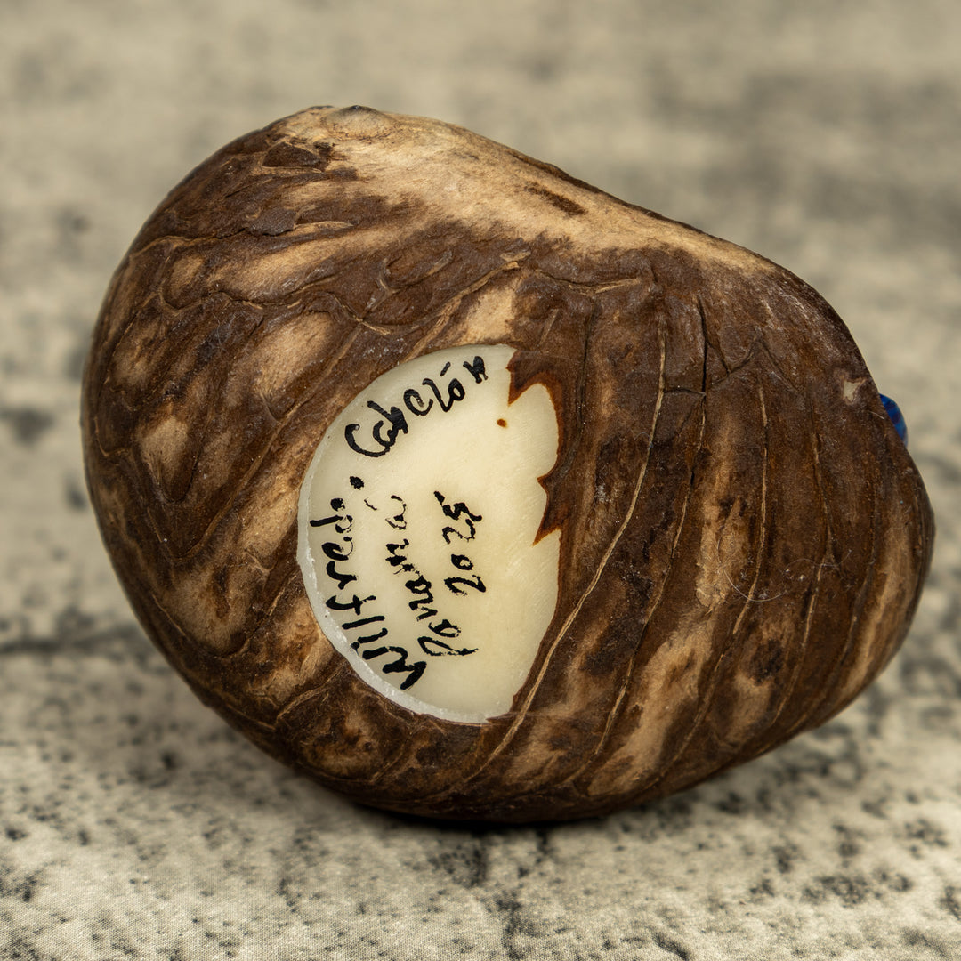 Red And Blue Poison Dart Frog Tagua Carving