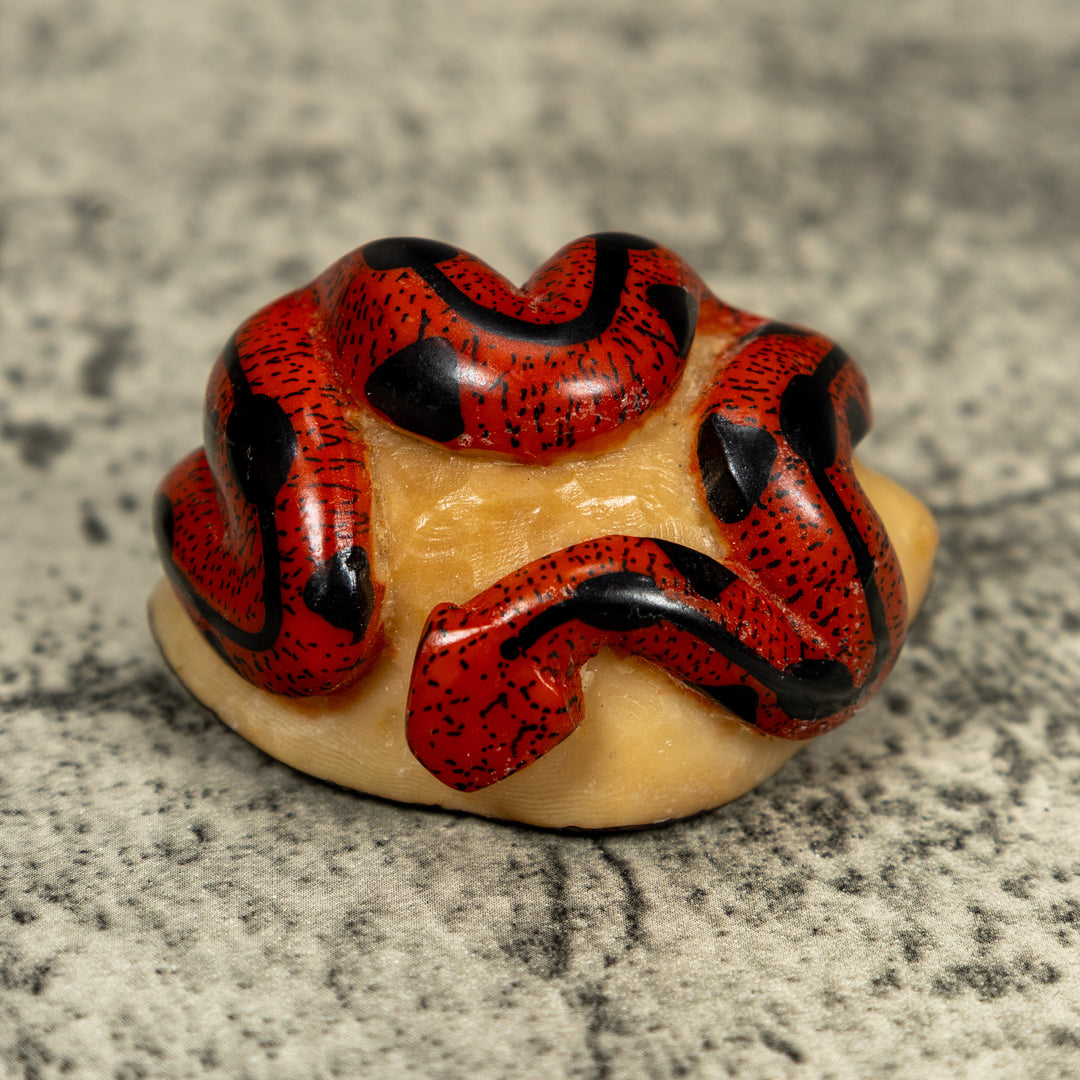Red And Black Snake Tagua Carving