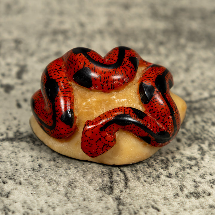 Red And Black Snake Tagua Carving