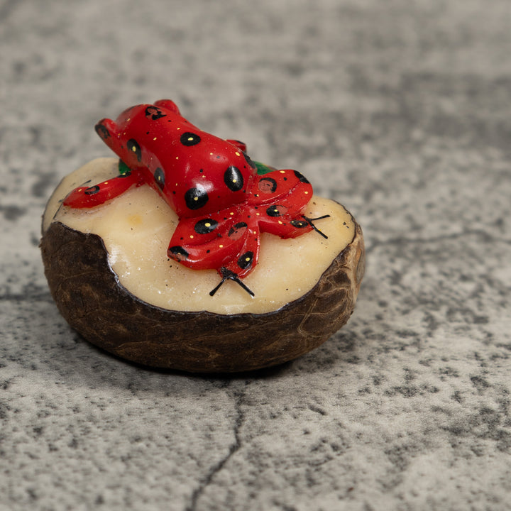 Red And Black Poison Dart Frog Tagua Carving