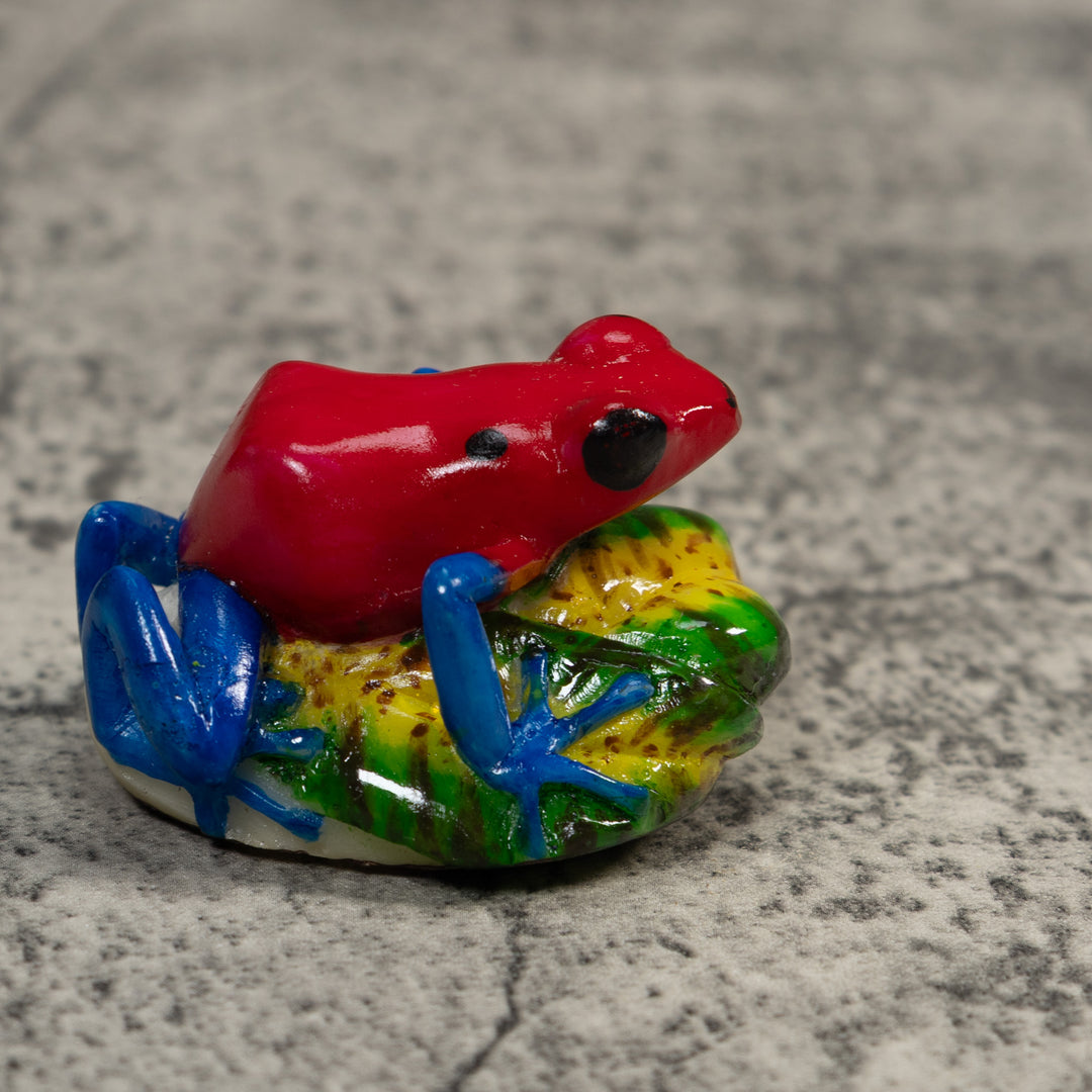 Red And Blue Poison Dart Frog Tagua Carving