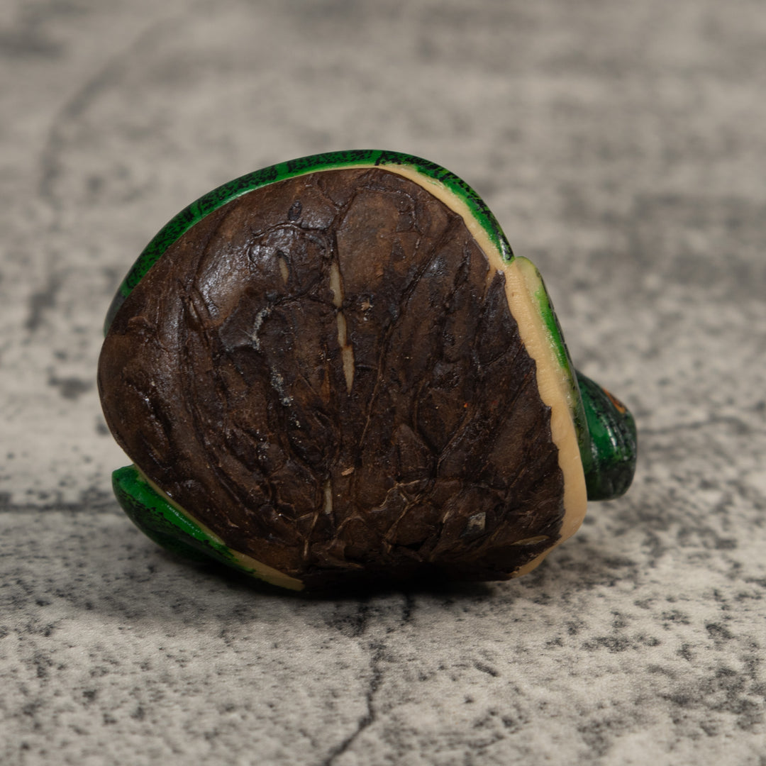 Green Iguana Lizard Iguana Tagua Carving