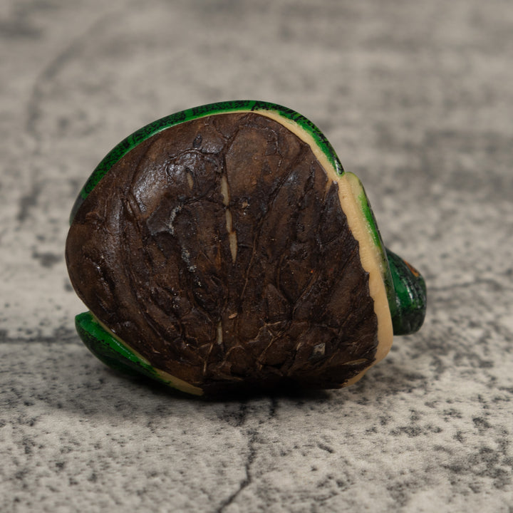 Green Iguana Lizard Iguana Tagua Carving