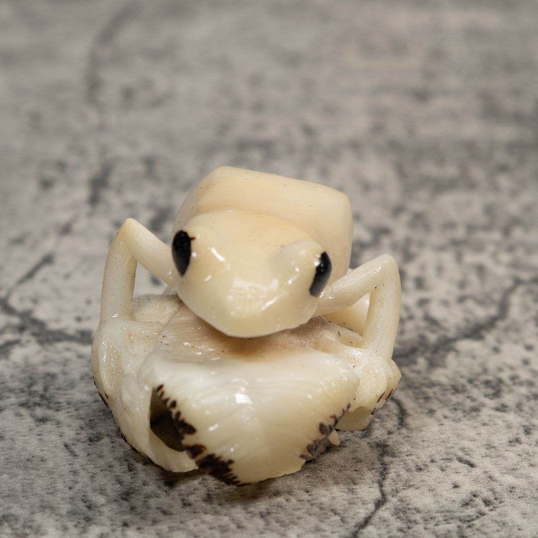 White Natural Frog Tagua Carving