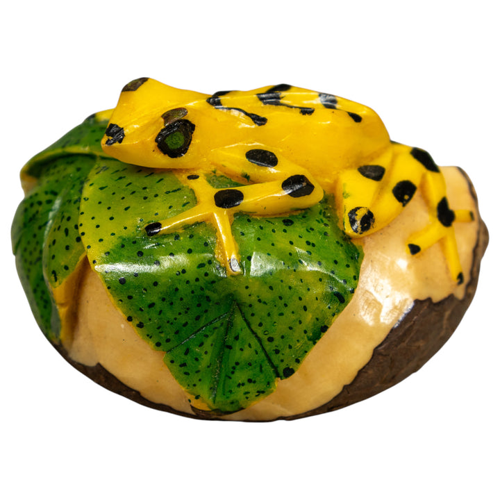 Golden Frog On Leaf Frog Tagua Carving