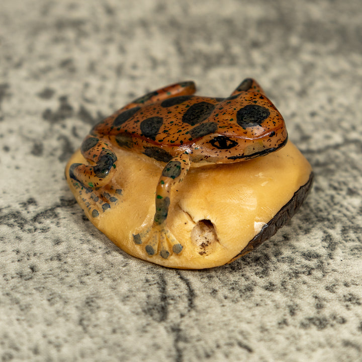 Vintage Black And Brown Poison Dart Frog Tagua Carving