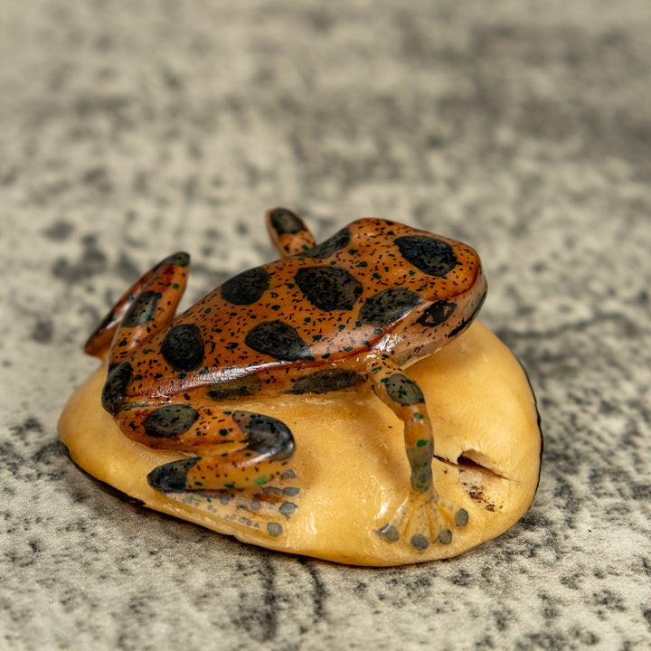 Vintage Black And Brown Poison Dart Frog Tagua Carving