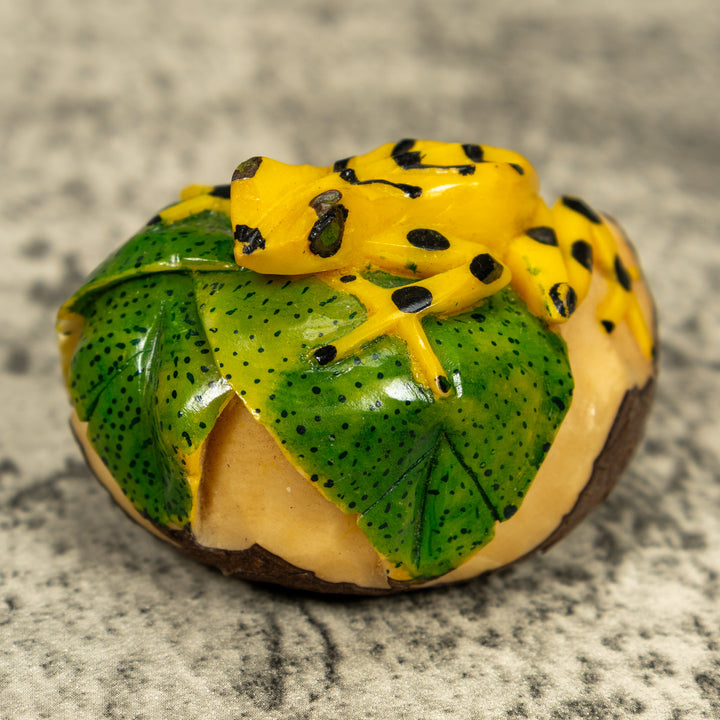 Golden Frog On Leaf Frog Tagua Carving