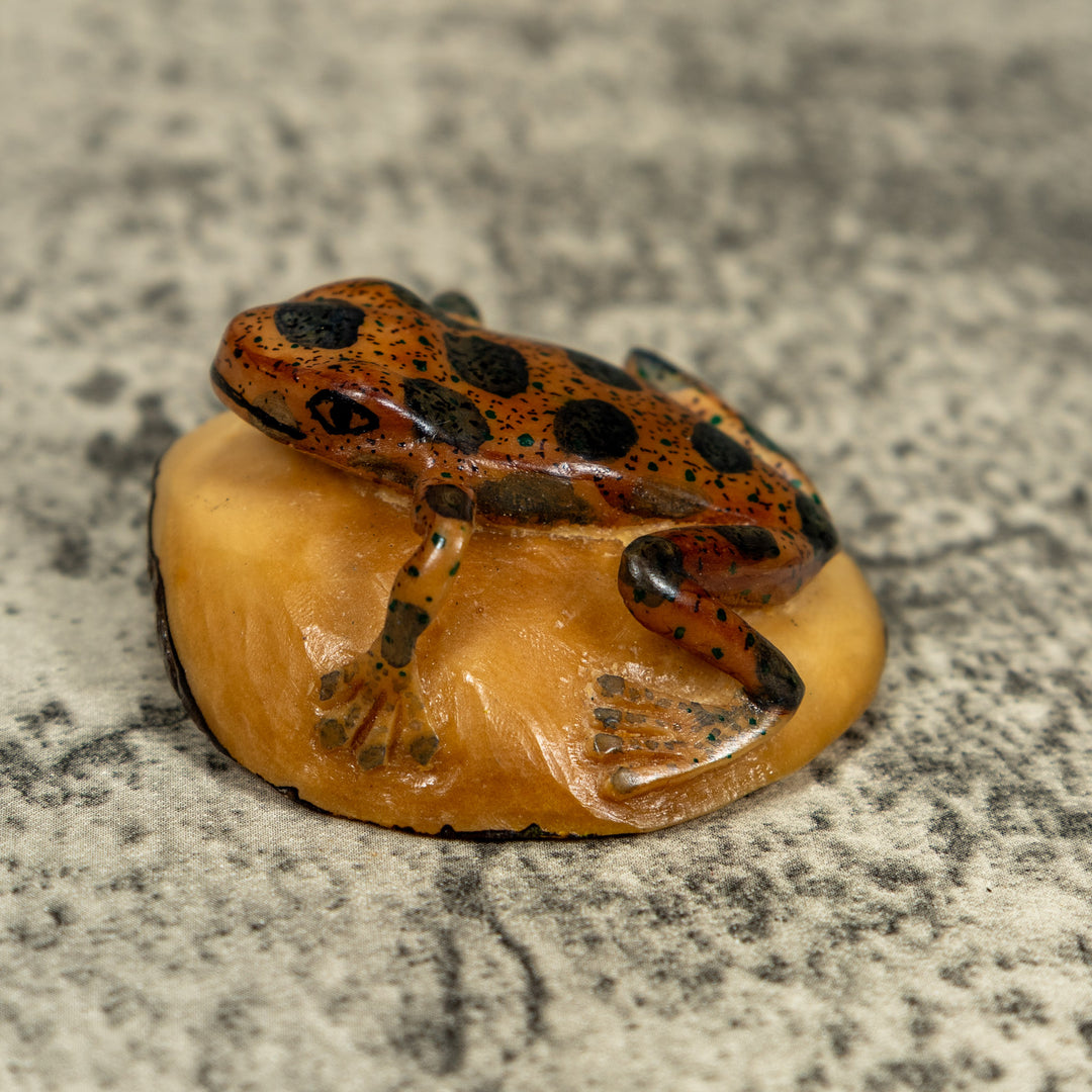 Vintage Black And Brown Poison Dart Frog Tagua Carving