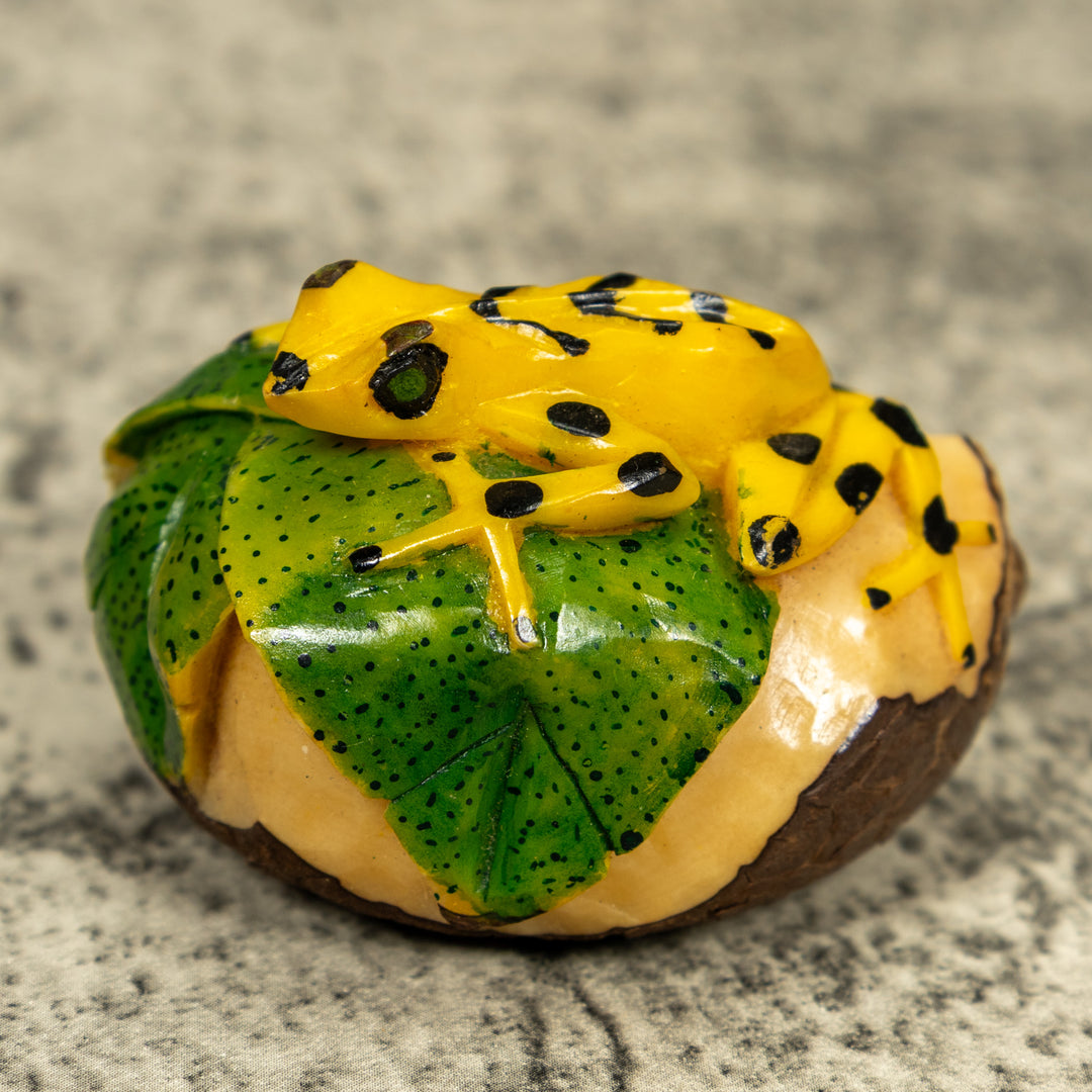 Golden Frog On Leaf Frog Tagua Carving