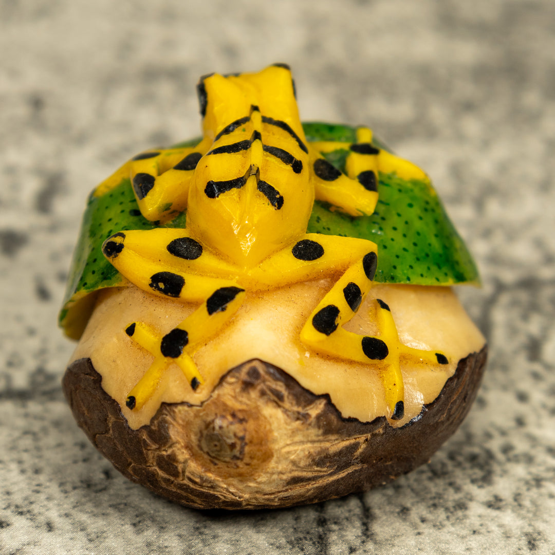 Golden Frog On Leaf Frog Tagua Carving