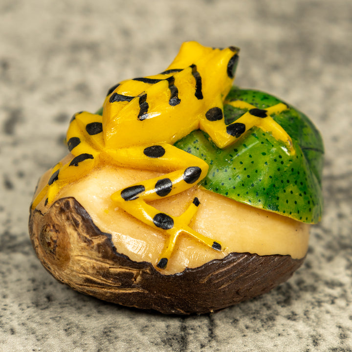 Golden Frog On Leaf Frog Tagua Carving