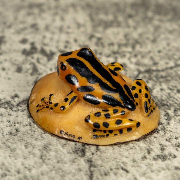 Vintage Black And Gold Poison Dart Frog Tagua Carving