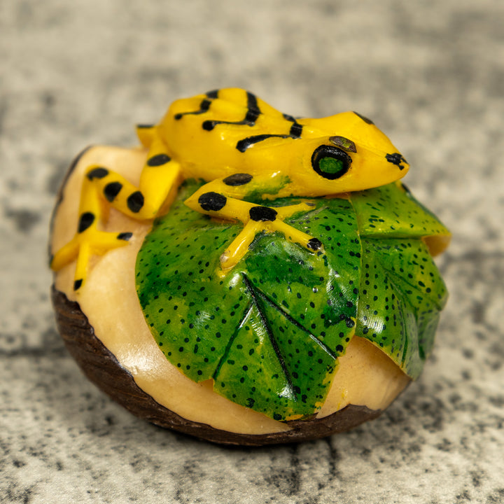 Golden Frog On Leaf Frog Tagua Carving