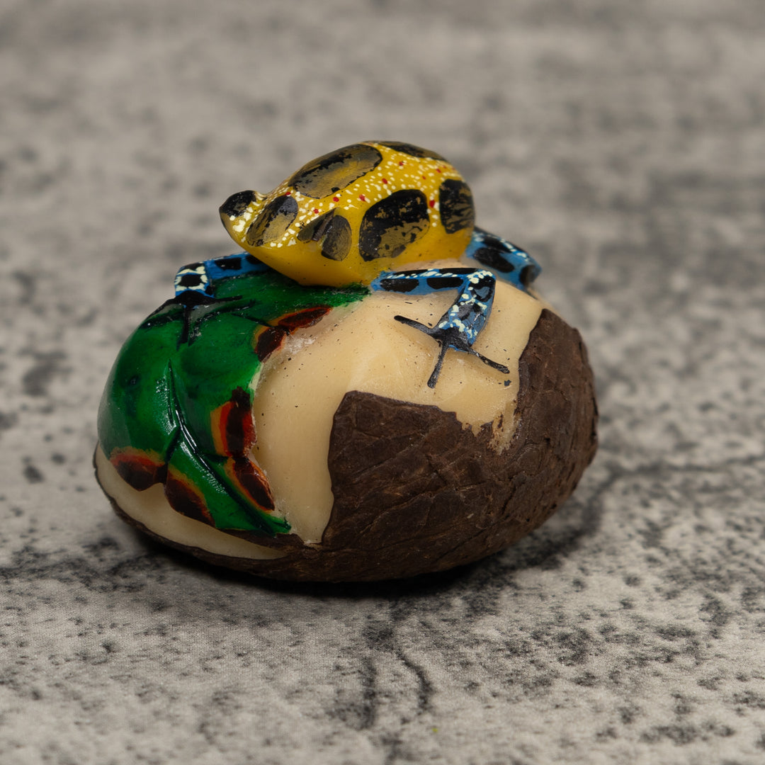 Poison Dart Frog Tagua Carving