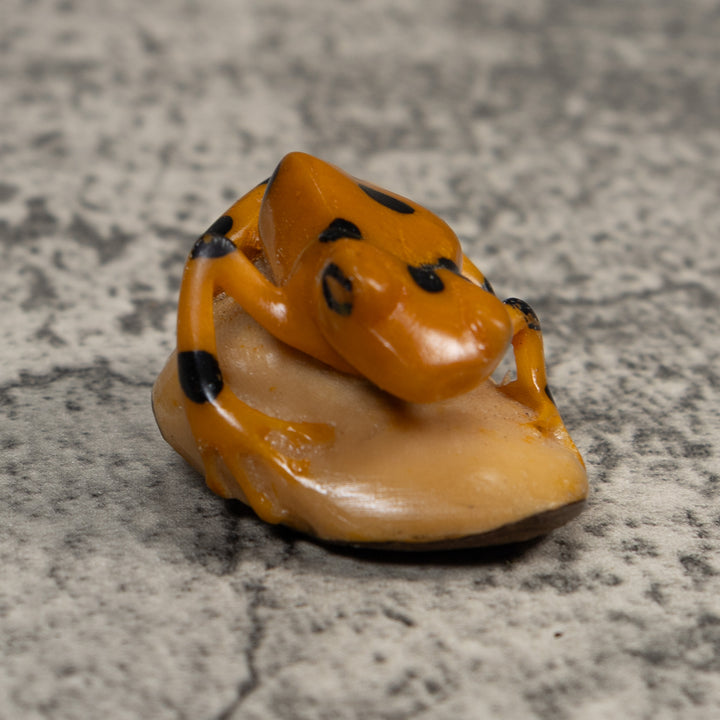 Vintage Golden Frog Tagua Carving