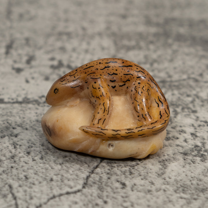 Vintage Brown And Black Gecko Lizard Tagua Carving