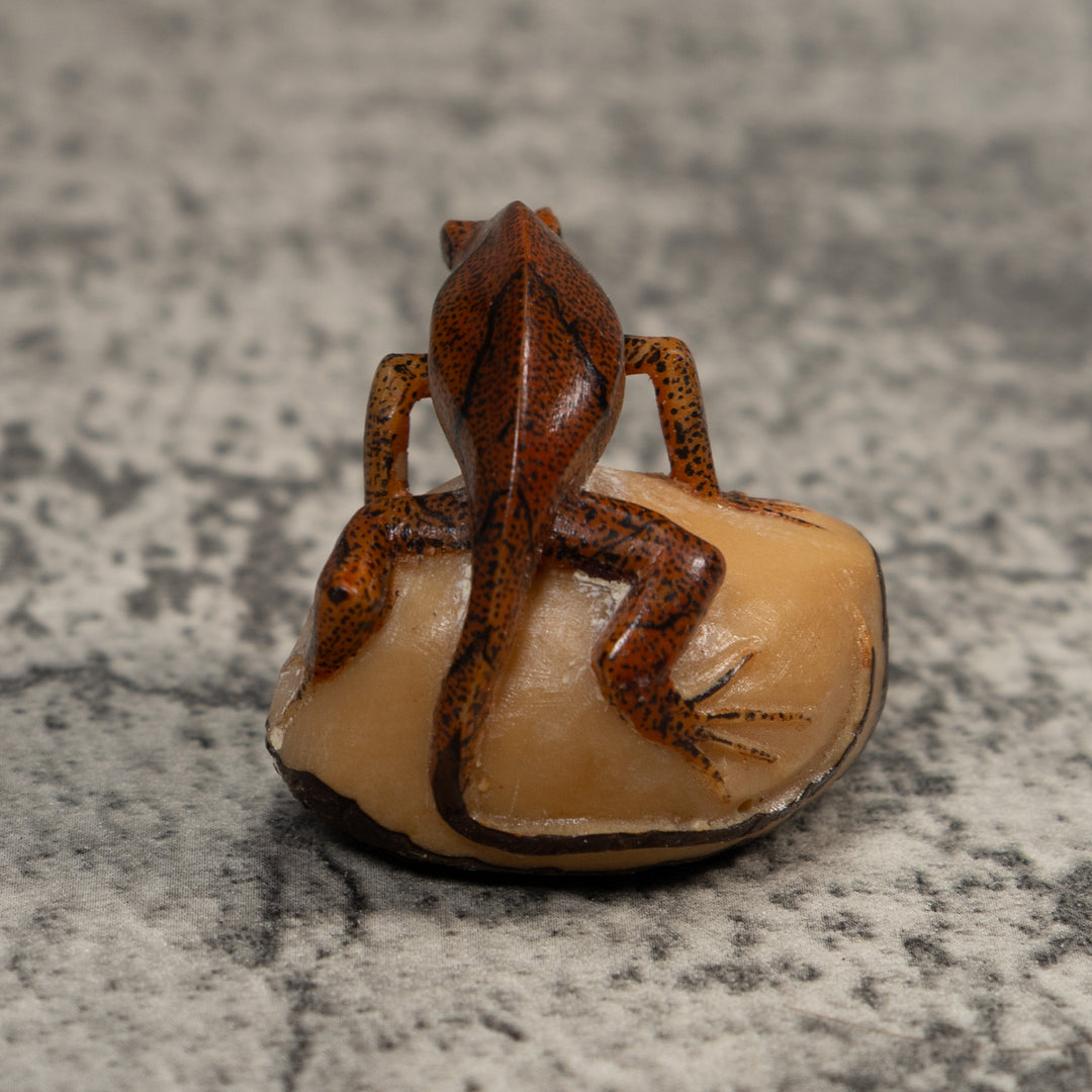 Gecko Lizard With Chin Flap Tagua Carving