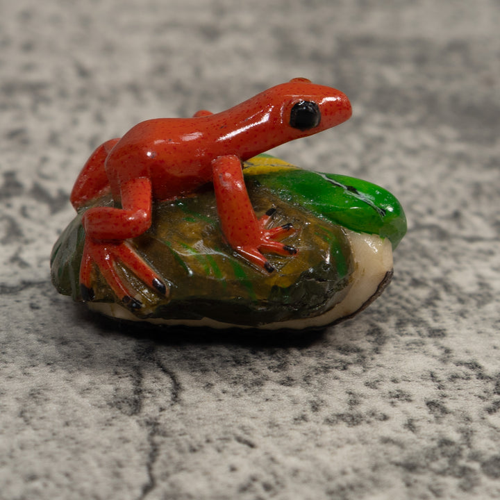 Orange Black-Eyed Poison Dart Frog Tagua Carving