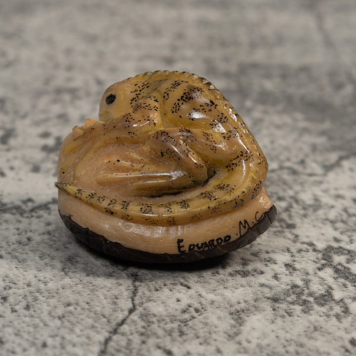 Vintage Brown And Tan Gecko Lizard Tagua Carving