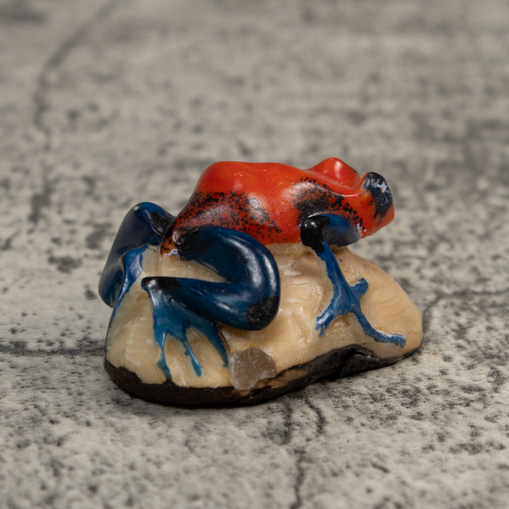Red And Blue Poison Dart Frog Tagua Carving