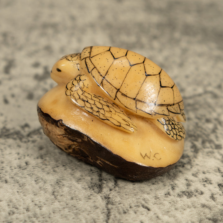 Vintage Black And White Sea Turtle Tagua Carving