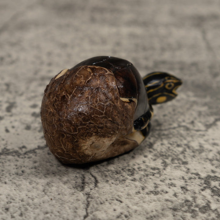 Tortise and Egg Tagua Carving