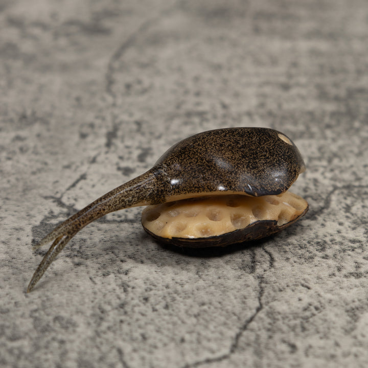 Ocean Stingray Tagua Carving