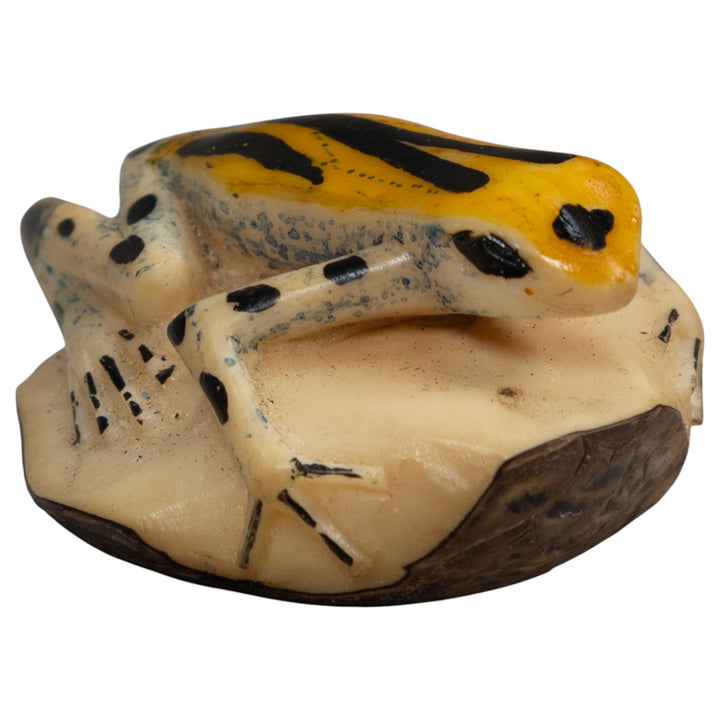 Gold Black And Blue Poison Dart Frog Tagua Carving