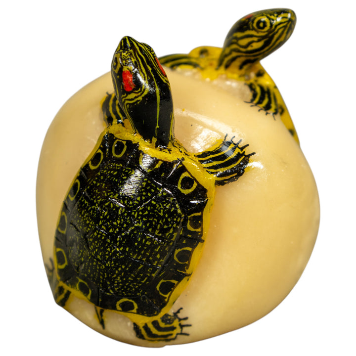 Double (2) Tortoise Turtle Tagua Carving