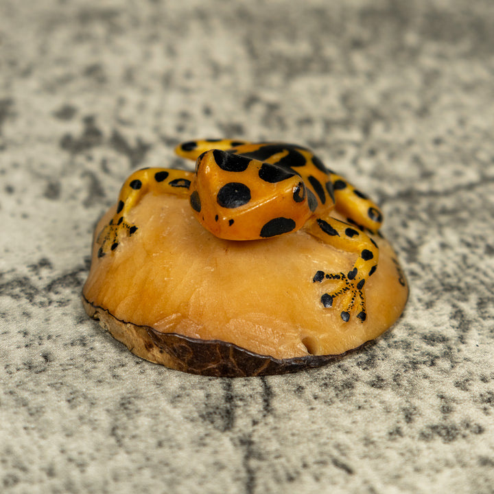 Vintage Black And Gold Poison Dart Frog Tagua Carving